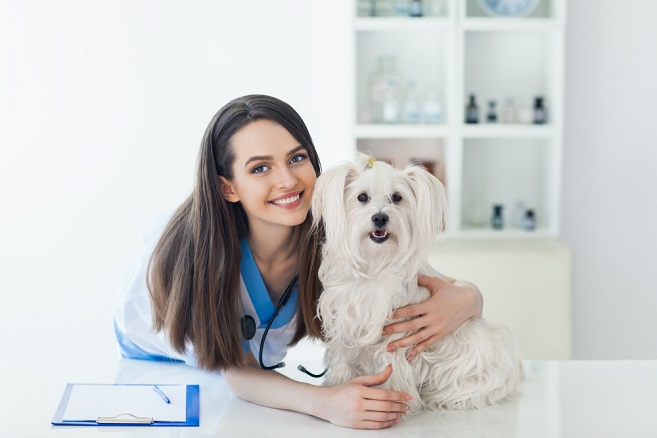 pharmaceutical-innovations-in-veterinary-medicine